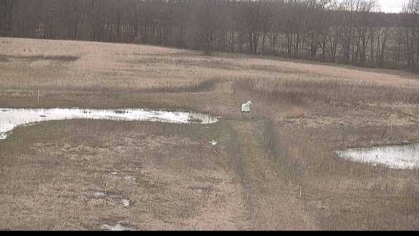 Cell 1 to 2 Monitoring-22-04-09_18-12-46-09