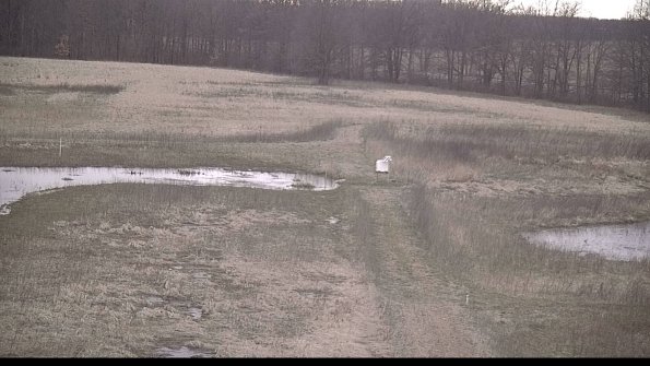 Cell 1 to 2 Monitoring-22-04-09_19-14-55-05