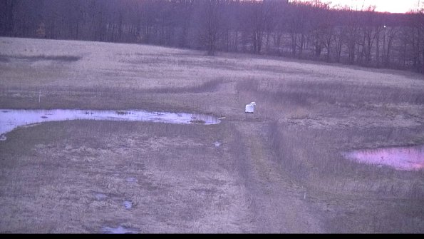 Cell 1 to 2 Monitoring-22-04-09_20-17-04-02