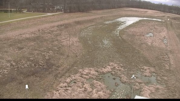 Cell 1-22-04-09_15-06-08-16