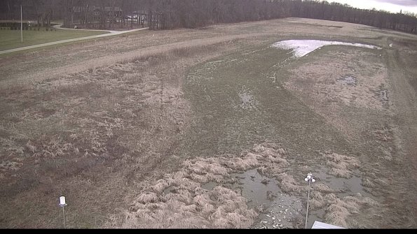 Cell 1-22-04-09_19-14-41-04