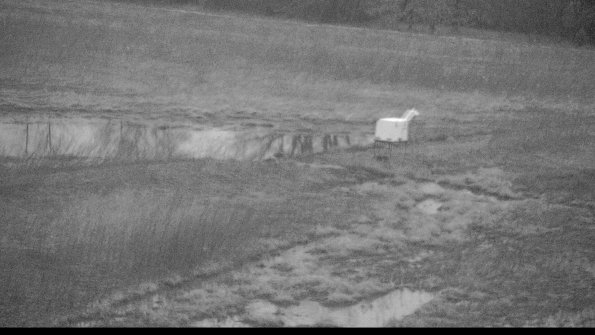 Cell 2 to 3 Monitoring-22-04-09_06-49-42-35