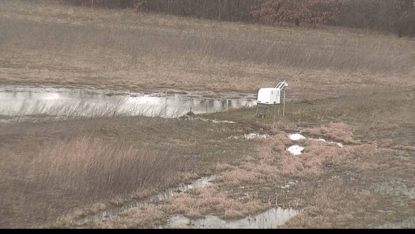 Cell 2 to 3 Monitoring-22-04-09_13-02-32-19