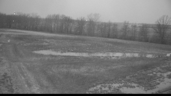 Cell 2-22-04-09_06-49-28-37