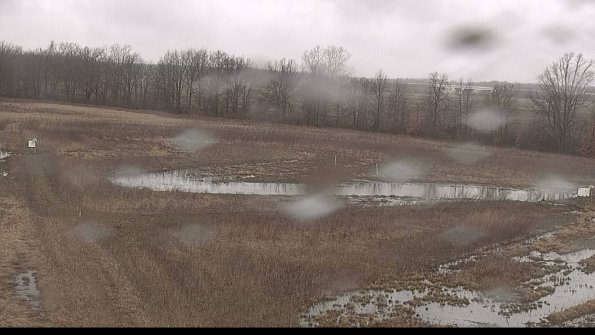 Cell 2-22-04-09_09-55-54-27