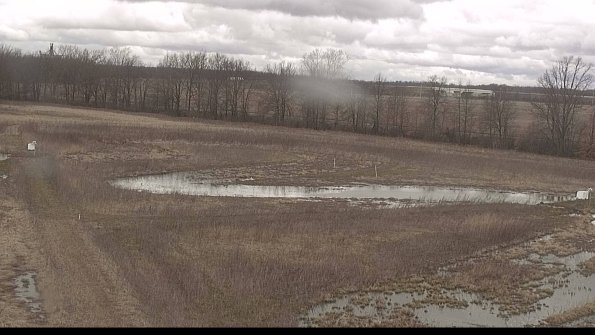 Cell 2-22-04-09_13-02-18-21