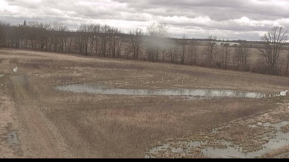 Cell 2-22-04-09_14-04-27-19