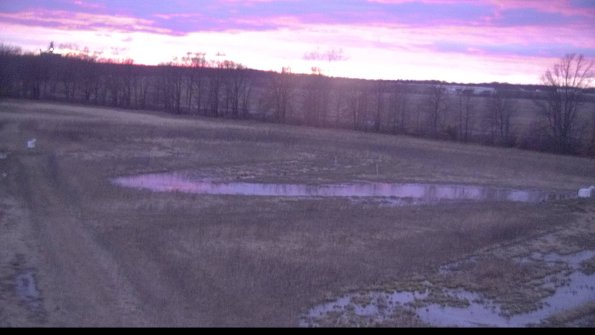 Cell 2-22-04-09_20-17-17-00