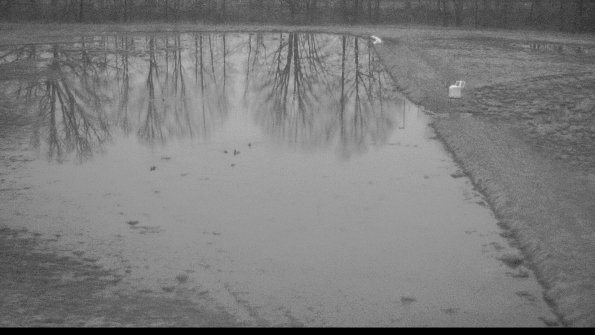 Cell 3 to 4 Monitoring-22-04-09_06-50-11-38