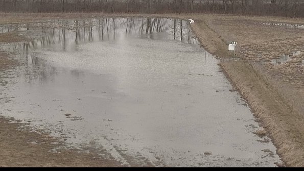 Cell 3 to 4 Monitoring-22-04-09_13-03-01-19