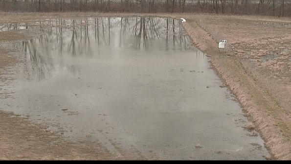 Cell 3 to 4 Monitoring-22-04-09_14-05-09-16