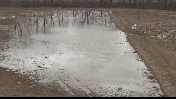 Cell 3 to 4 Monitoring-22-04-09_16-09-25-14