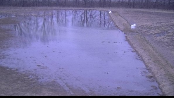 Cell 3 to 4 Monitoring-22-04-09_20-17-59-01