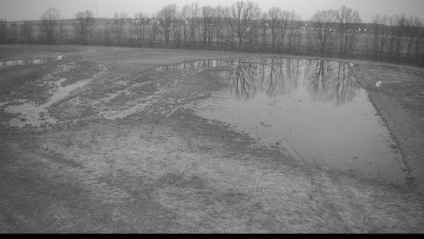 Cell 3-22-04-09_06-49-57-36