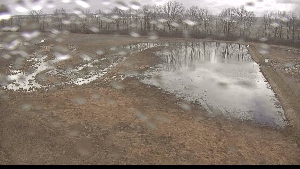 Cell 3-22-04-09_12-00-38-24