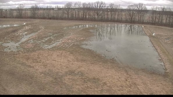 Cell 3-22-04-09_14-04-55-18