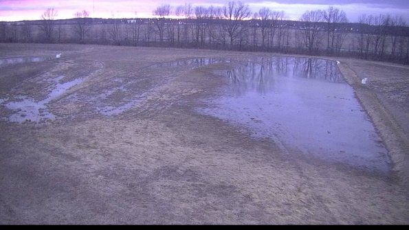 Cell 3-22-04-09_20-17-45-03