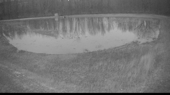 Cell 4-22-04-09_06-50-25-36