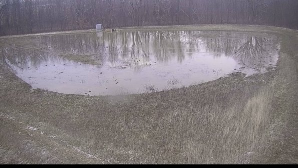 Cell 4-22-04-09_07-52-33-33