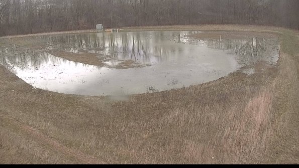 Cell 4-22-04-09_12-01-06-23