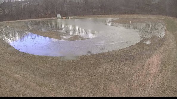 Cell 4-22-04-09_13-03-15-20