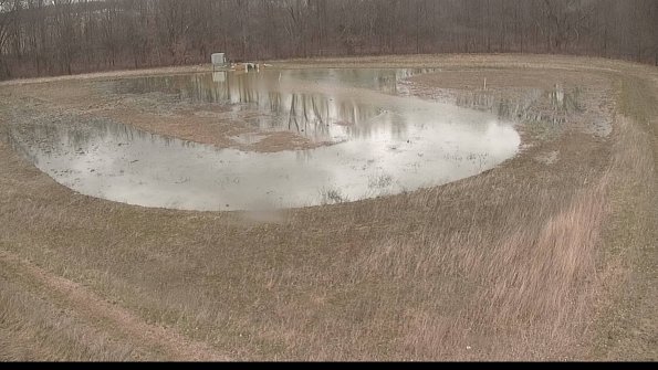 Cell 4-22-04-09_14-05-23-18