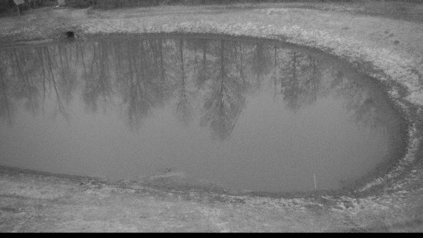 Settling basin-22-04-09_06-48-46-36