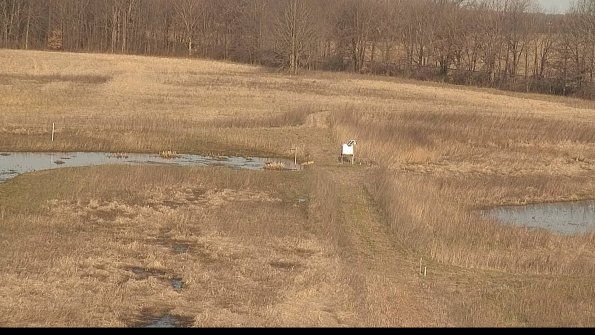 Cell 1 to 2 Monitoring-22-04-11_08-32-04-19