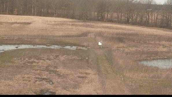 Cell 1 to 2 Monitoring-22-04-11_09-34-13-18