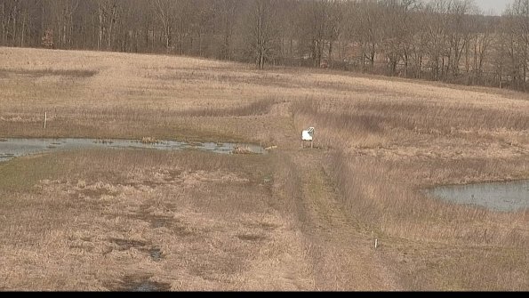 Cell 1 to 2 Monitoring-22-04-11_10-36-22-14