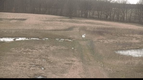 Cell 1 to 2 Monitoring-22-04-11_16-49-11-04