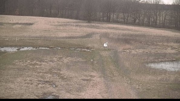 Cell 1 to 2 Monitoring-22-04-11_18-53-26-99