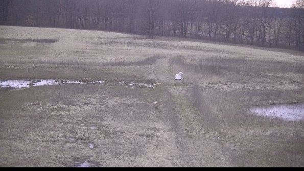 Cell 1 to 2 Monitoring-22-04-11_19-55-34-97