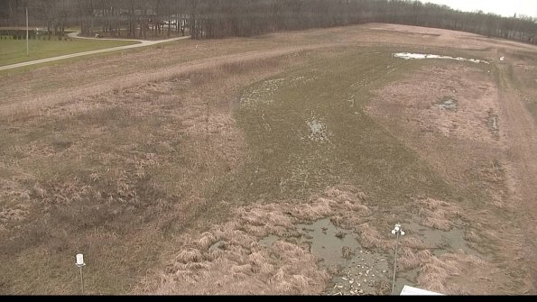 Cell 1-22-04-11_12-40-24-12