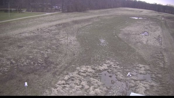 Cell 1-22-04-11_19-55-20-99