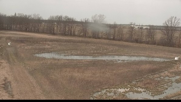 Cell 2-22-04-11_11-38-43-13