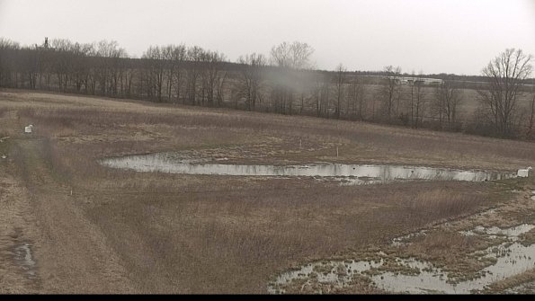 Cell 2-22-04-11_16-49-24-05