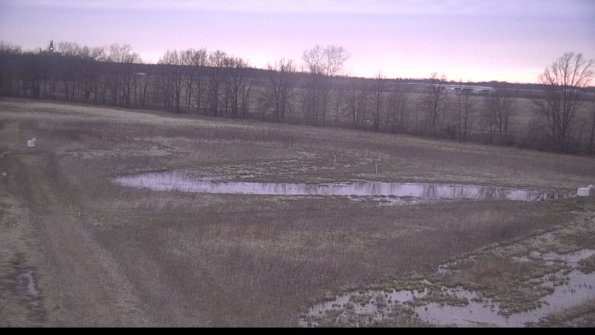 Cell 2-22-04-11_19-55-47-98