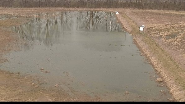 Cell 3 to 4 Monitoring-22-04-11_14-45-50-08