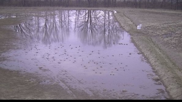 Cell 3 to 4 Monitoring-22-04-11_19-56-30-99