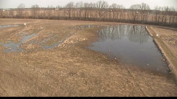 Cell 3-22-04-11_08-32-46-19