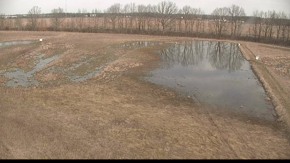 Cell 3-22-04-11_09-34-55-16