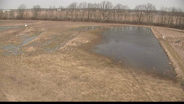 Cell 3-22-04-11_10-37-03-15