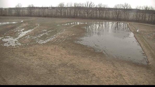 Cell 3-22-04-11_16-49-52-05