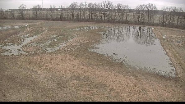 Cell 3-22-04-11_17-52-00-03