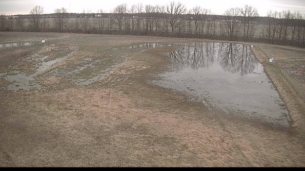 Cell 3-22-04-11_18-54-08-00