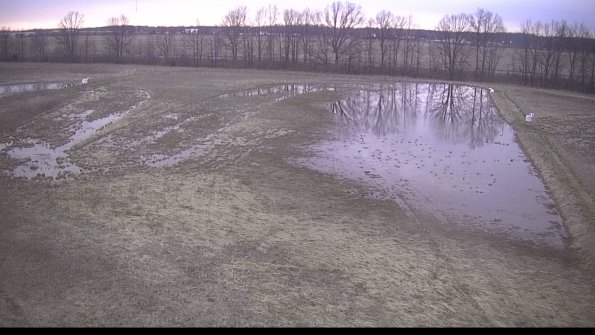 Cell 3-22-04-11_19-56-16-98