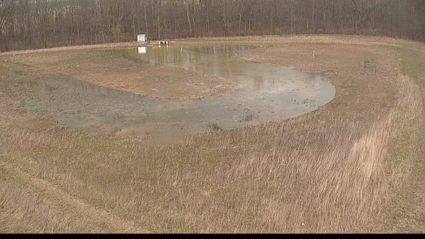 Cell 4-22-04-11_14-46-04-09