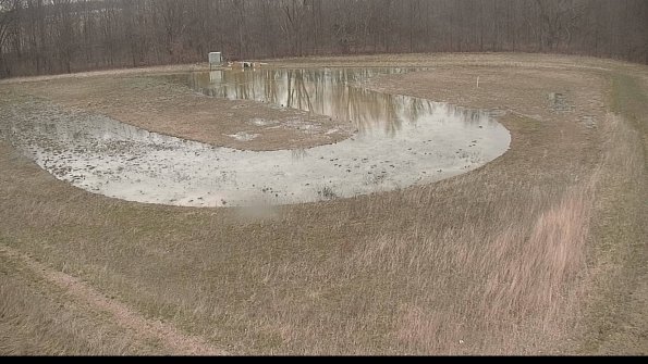 Cell 4-22-04-11_17-52-28-02