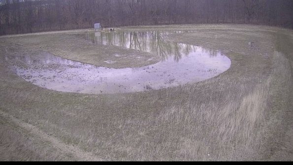 Cell 4-22-04-11_19-56-44-97